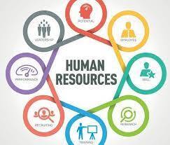 نکاتی در باره مدیریت منابع انسانی در شرکت های نرم افزاری